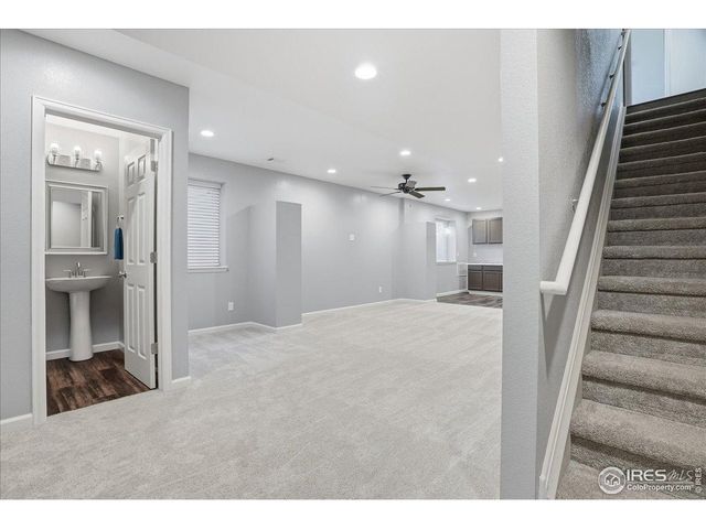 2178 Longfin Dr, Windsor, CO 80550