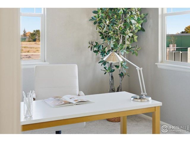 2178 Longfin Dr, Windsor, CO 80550