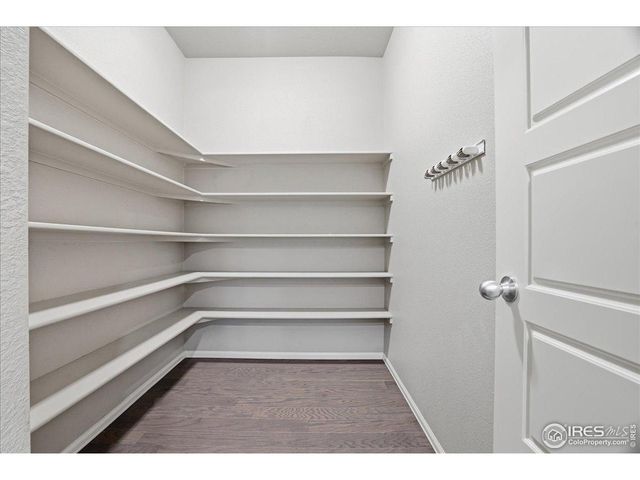 2178 Longfin Dr, Windsor, CO 80550