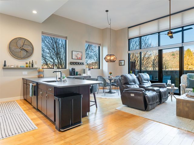 60 N Market Street 117, Asheville, NC 28801