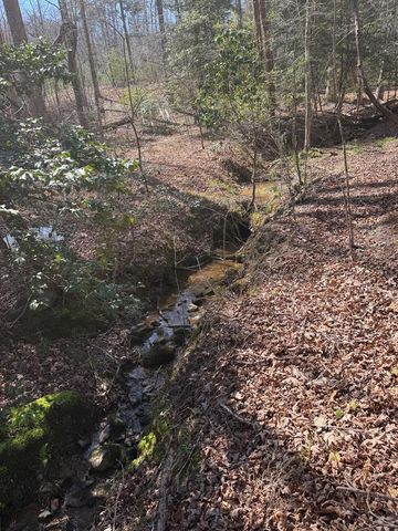 LOT 73 Spring Run Drive, Blue Ridge, GA 30513