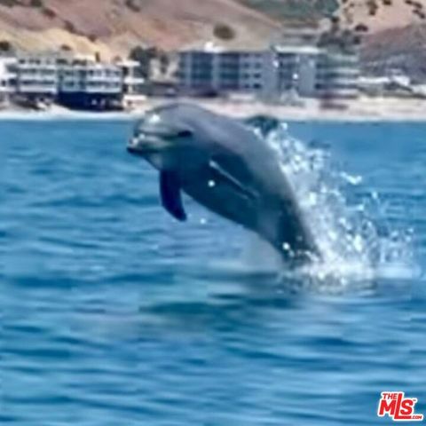 0 Pacific Coast Hwy, Malibu, CA 90265