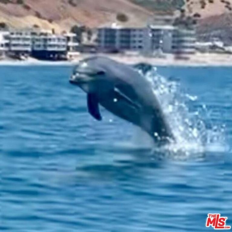 Image 4 of property listing at 0 Pacific Coast Hwy, Malibu, CA 90265