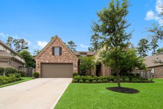 204 Terrain View Court, Willis, TX 77318