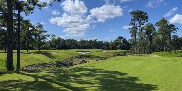 8906 Covenant Place, Houston, TX 77055