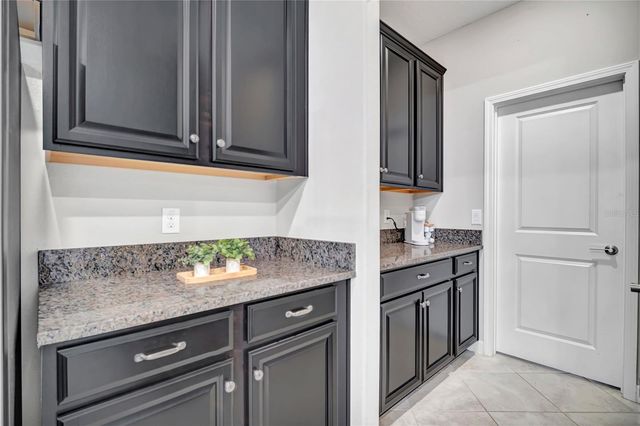 32101 GODDARD DRIVE, Wesley Chapel, FL 33543