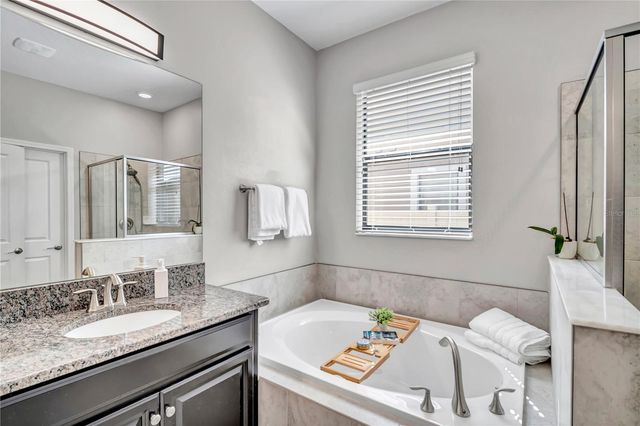 32101 GODDARD DRIVE, Wesley Chapel, FL 33543