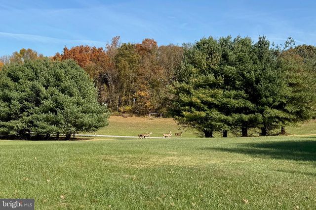 STILL POND CREEK RD, Worton, MD 21678