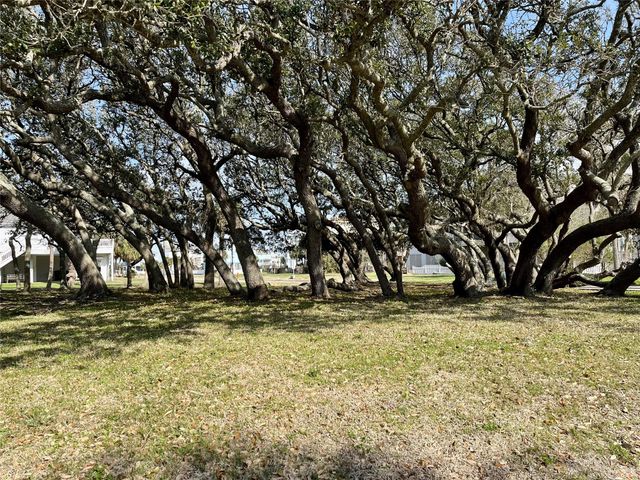 14426 Spyglass Circle, Galveston, TX 77554
