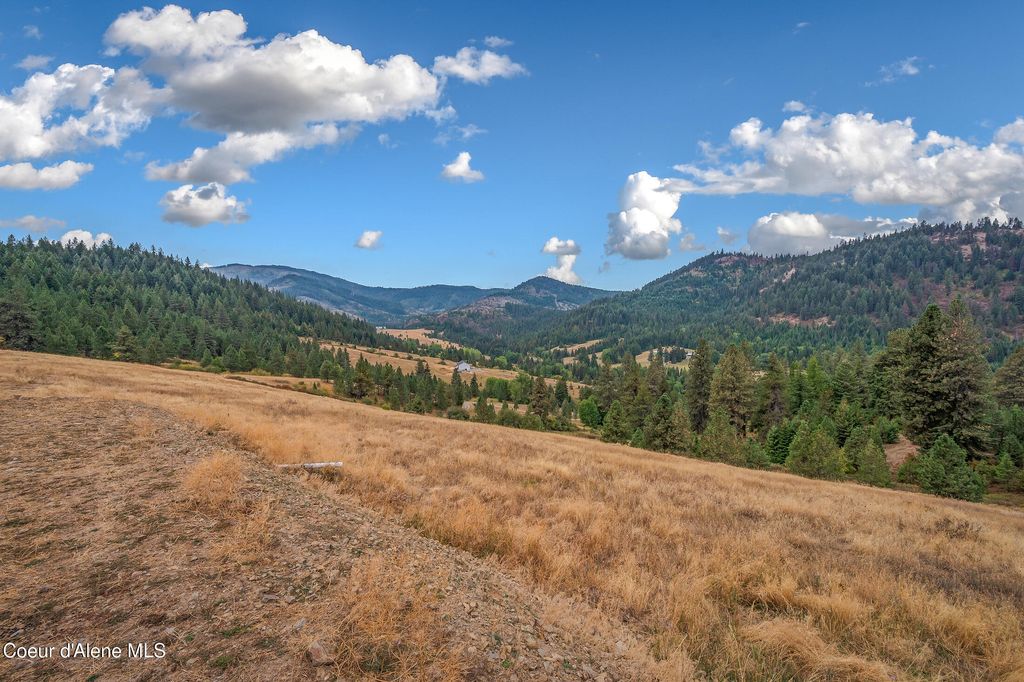 26706 S WILLOW CREEK RD, Medimont, ID 83842 photo 52