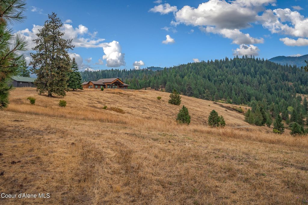 26706 S WILLOW CREEK RD, Medimont, ID 83842 photo 83