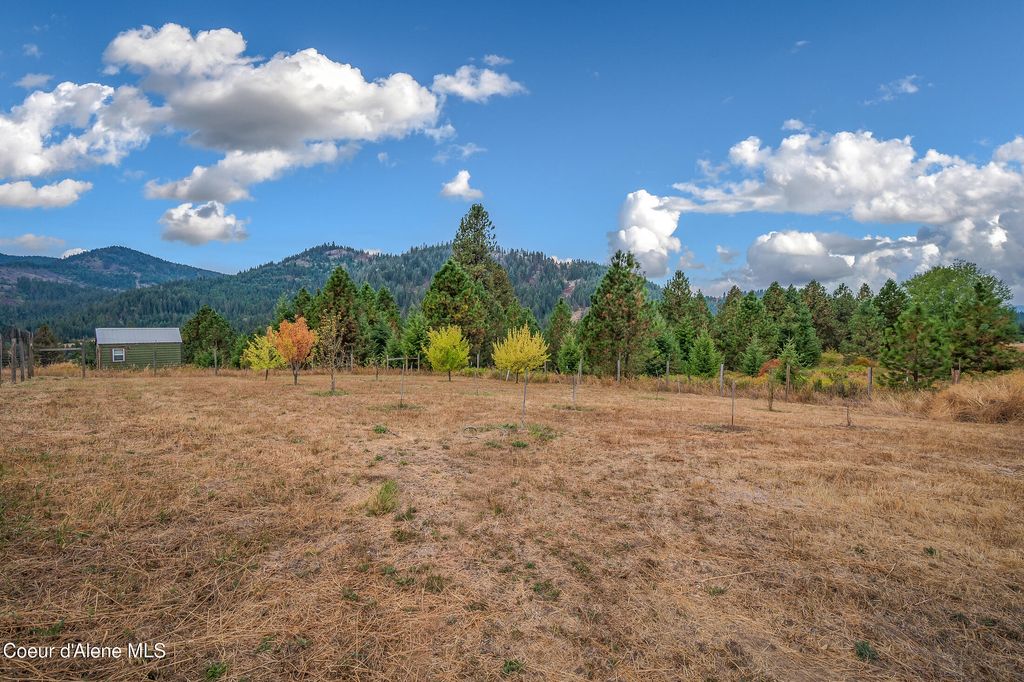 26706 S WILLOW CREEK RD, Medimont, ID 83842 photo 90