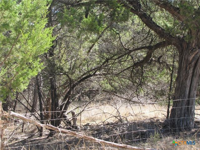 678 Cannan Road, Canyon Lake, TX 78133