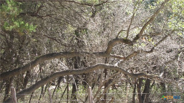 678 Cannan Road, Canyon Lake, TX 78133