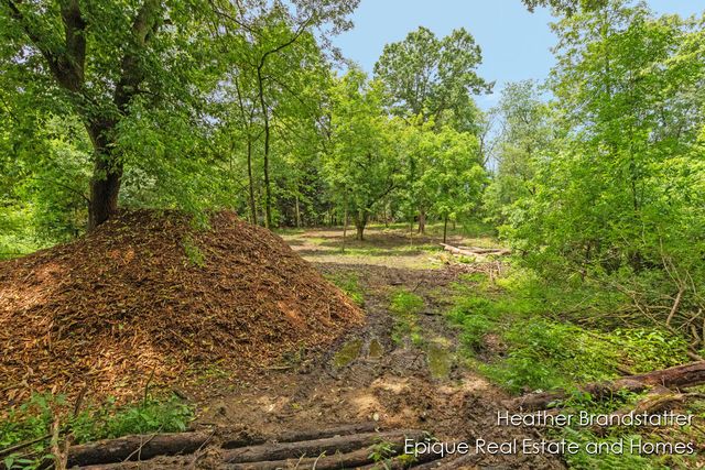 4323 Woodside Oaks Drive SE, Grand Rapids, MI 49546