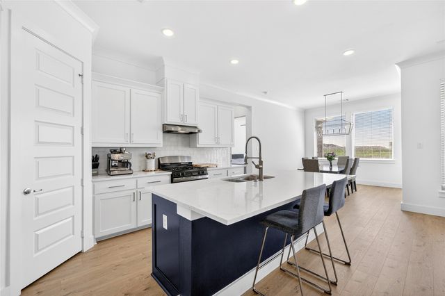 209 Basalt Lane, Reno, TX 76020