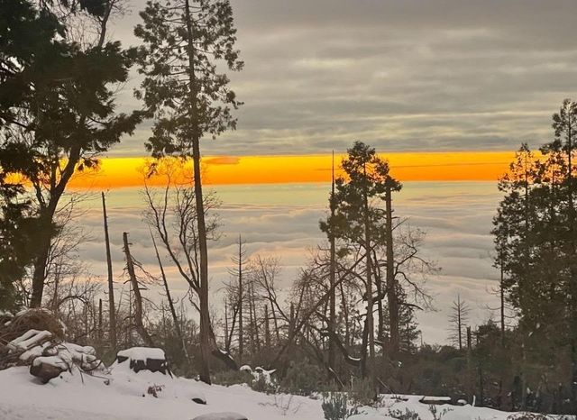 41789 Marmot Lane, Auberry, CA 93602