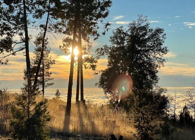 41789 Marmot Lane, Auberry, CA 93602