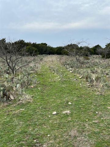 4238 E. FM 581, Lometa, TX 76853