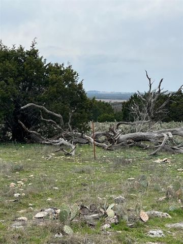 4238 E. FM 581, Lometa, TX 76853