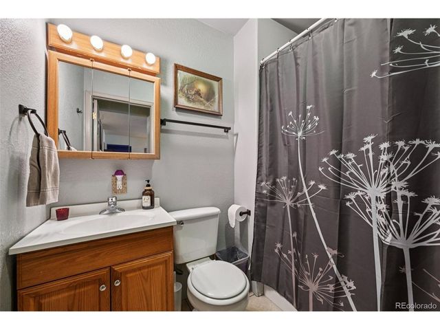 206 Pinon Cir, Black Hawk, CO 80422