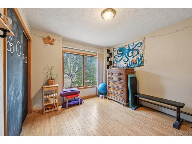 206 Pinon Cir, Black Hawk, CO 80422