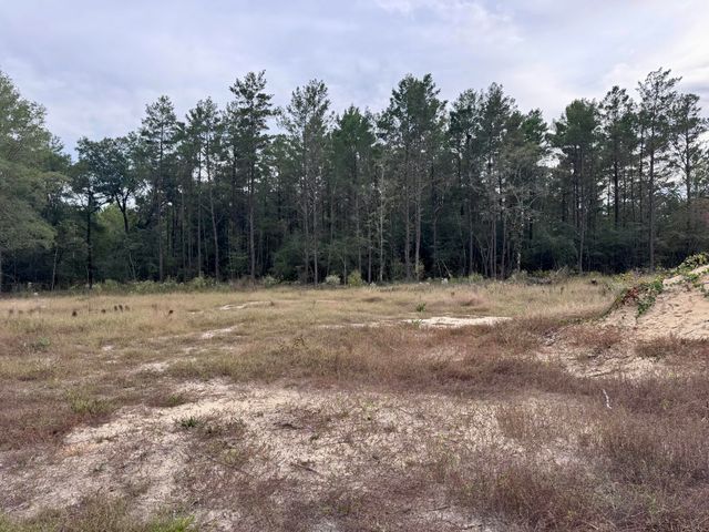 Lot 24 E Dogwood Avenue, Defuniak Springs, FL 32433