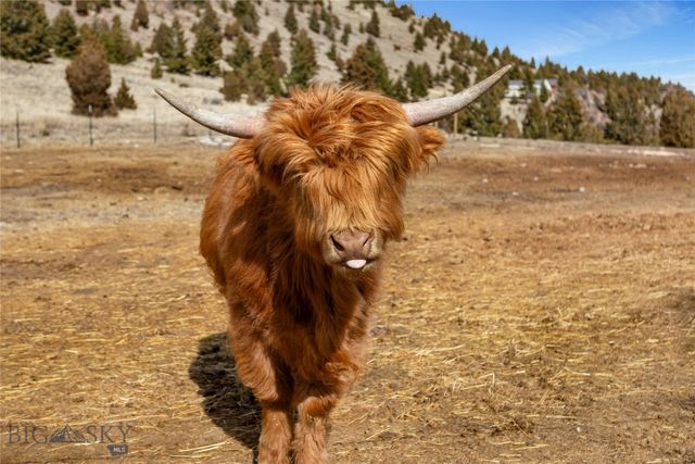 960 Tenderfoot Trail, Ramsay, MT 59748