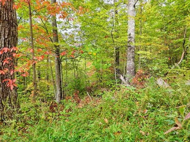Lot 23 Skyview, Hayesville, NC 28904