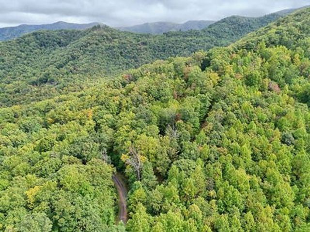 Lot 23 Skyview, Hayesville, NC 28904