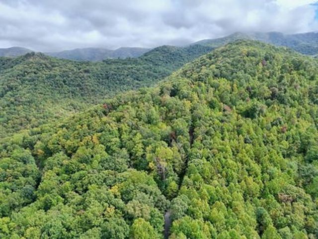 Lot 23 Skyview, Hayesville, NC 28904