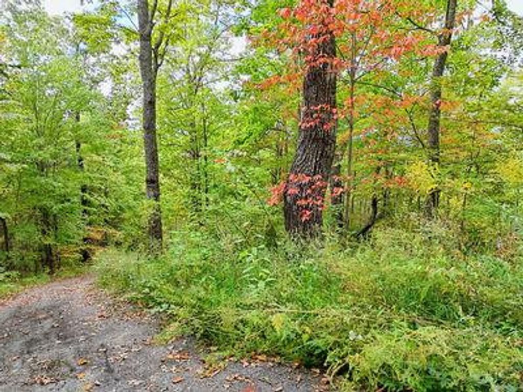 Lot 23 Skyview, Hayesville, NC 28904