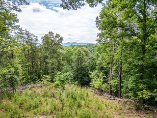 Lt 1 Stormy Ridge, Brasstown, NC 28902