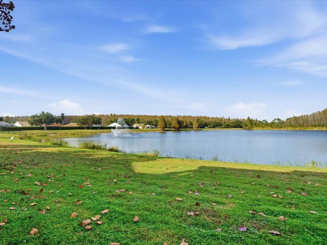 4209 WOODSTORKS WALK WAY 1204, Lutz, FL 33558