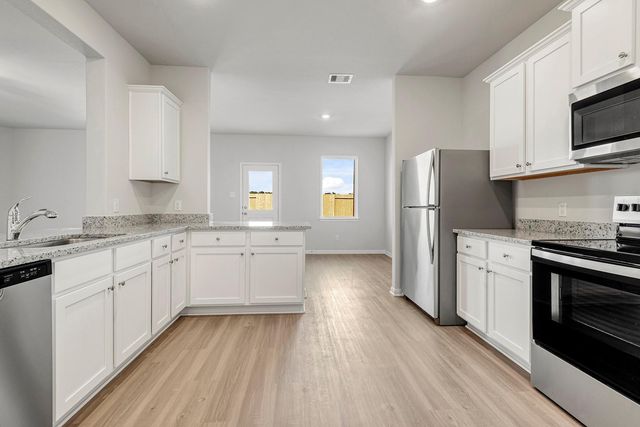 8205 Vanilla Orchid Drive, Houston, TX 77016