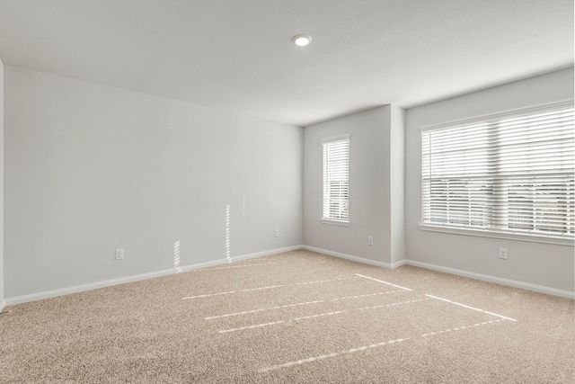 8205 Vanilla Orchid Drive, Houston, TX 77016