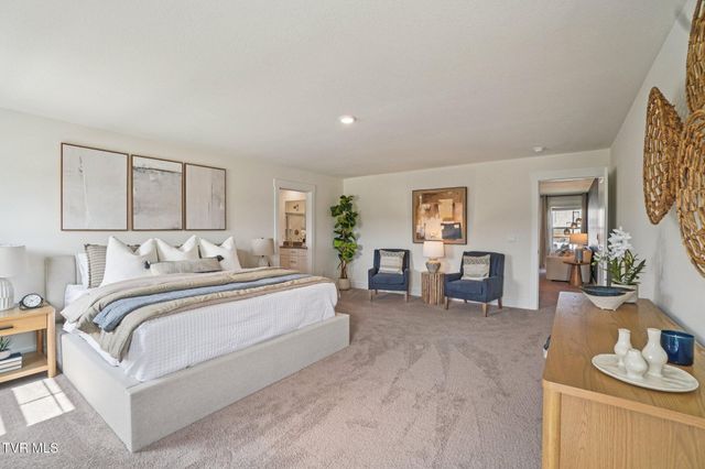 101 Mint Court, Bluff City, TN 37618