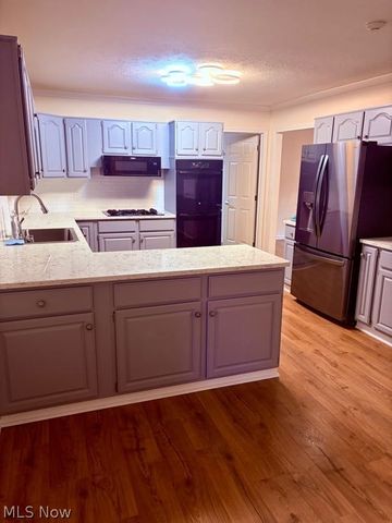 6625 Pear Tree Lane, Mentor, OH 44060