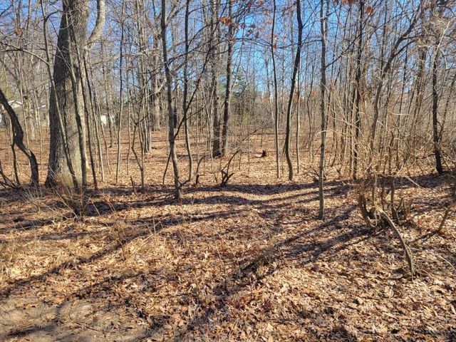 Lot 34 Seelinger Drive, Harrison, MI 48625