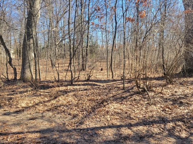 Lot 34 Seelinger Drive, Harrison, MI 48625