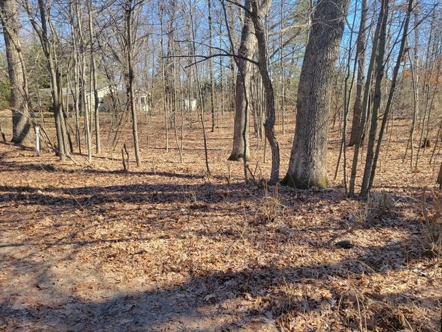 Lot 34 Seelinger Drive, Harrison, MI 48625