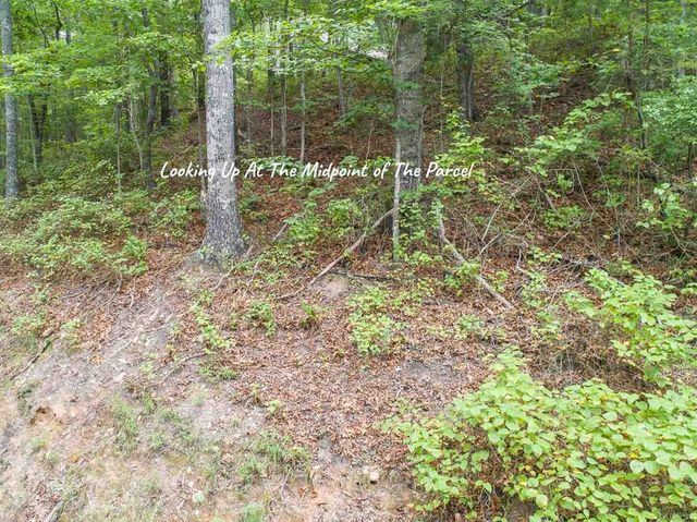 0 Deer Lane, Ellijay, GA 30540