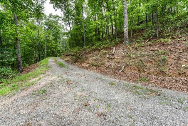 0 Deer Lane, Ellijay, GA 30540
