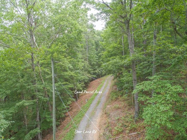 0 Deer Lane, Ellijay, GA 30540