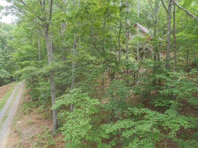 0 Deer Lane, Ellijay, GA 30540
