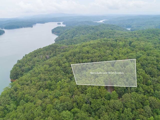 0 Deer Lane, Ellijay, GA 30540