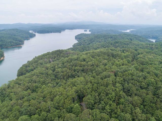 0 Deer Lane, Ellijay, GA 30540