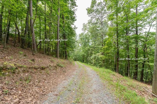 0 Deer Lane, Ellijay, GA 30540