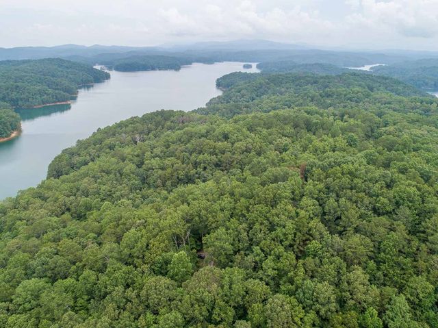 0 Deer Lane, Ellijay, GA 30540