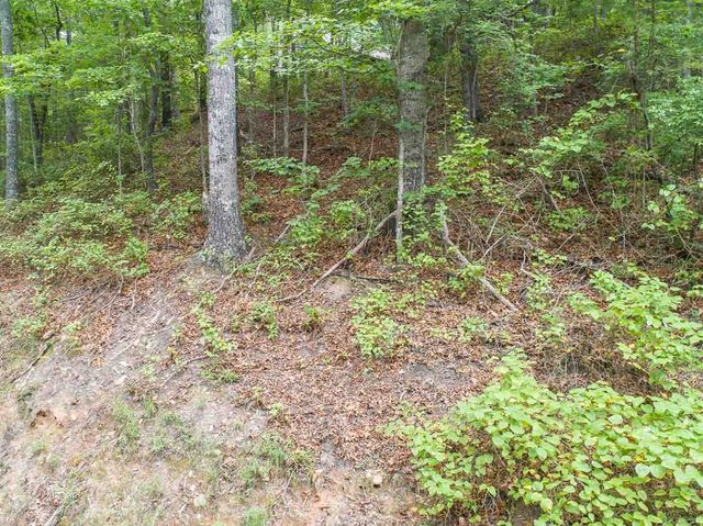 0 Deer Lane, Ellijay, GA 30540